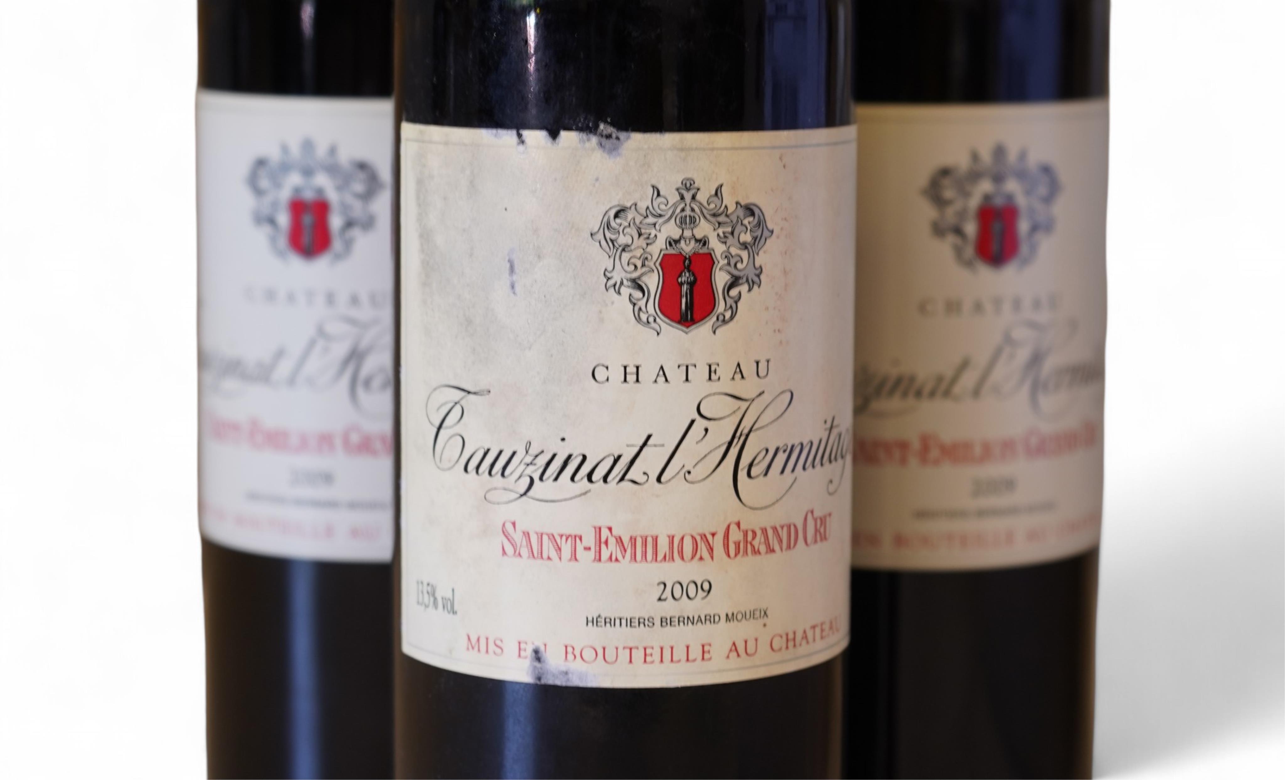 Château Tauzinat l'Hermitage, 2009